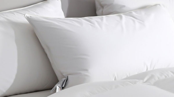 2024–2025 Goose Down Quilt Market: Strong Demand in the North, Untapped Potential in the South